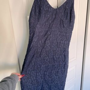 Aritzia Babaton Marsden Dress